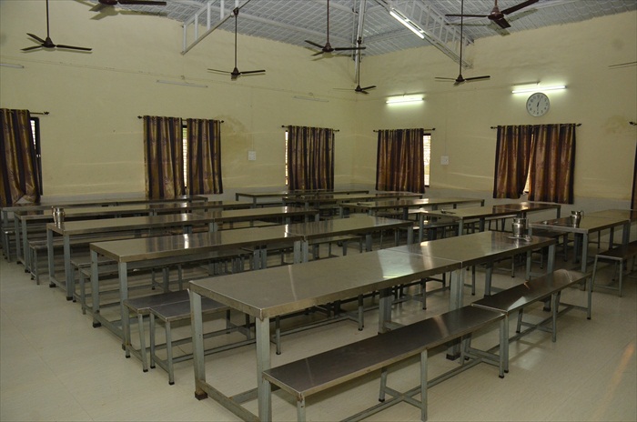 Plants: image 4 0f 21 thumb